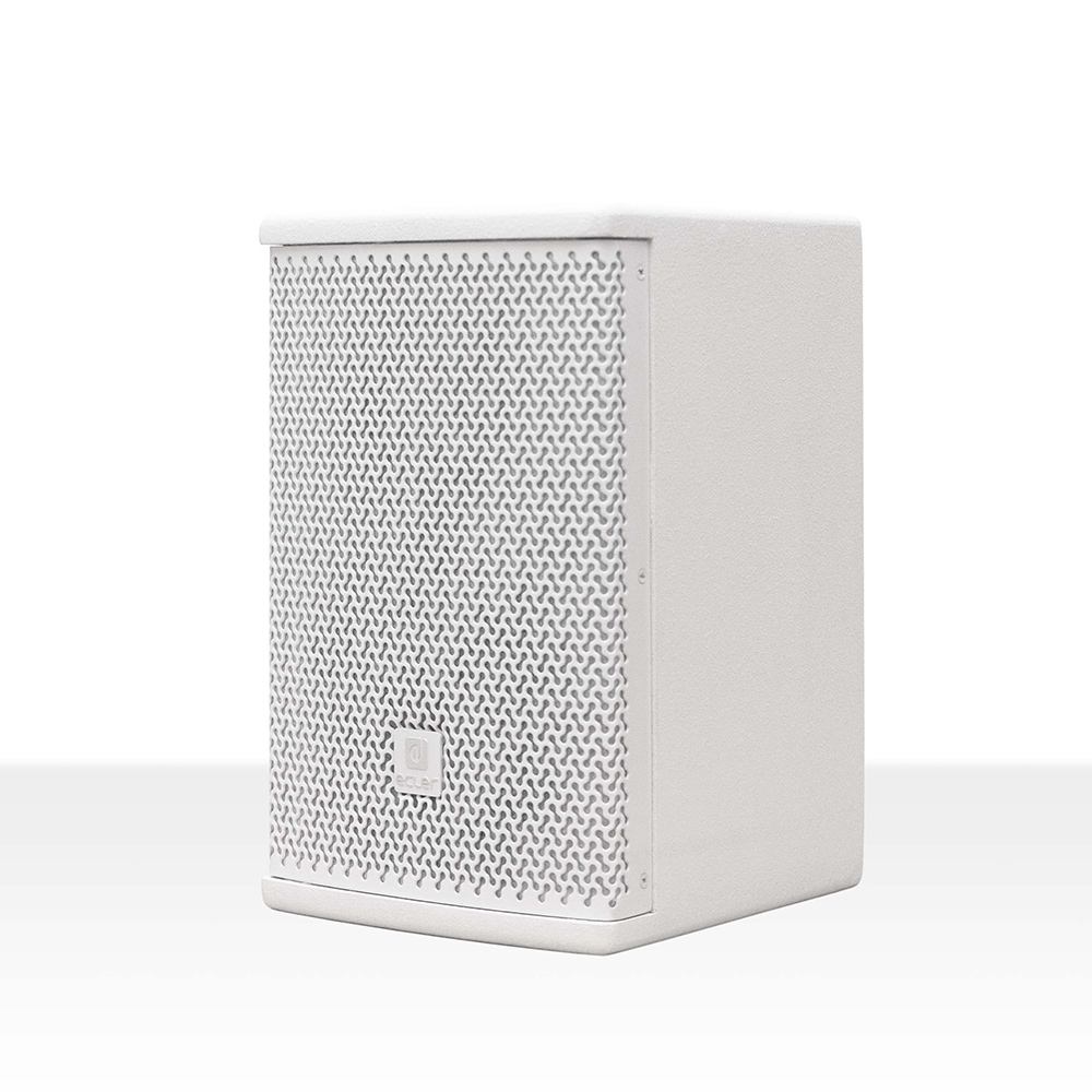 Enceinte 2 voies 5,25” ARQIS105i