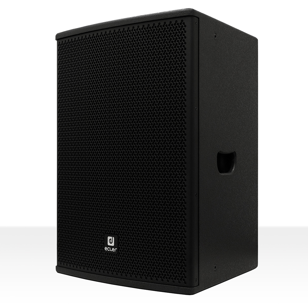 Enceinte 2 voies 12” ARQIS112i