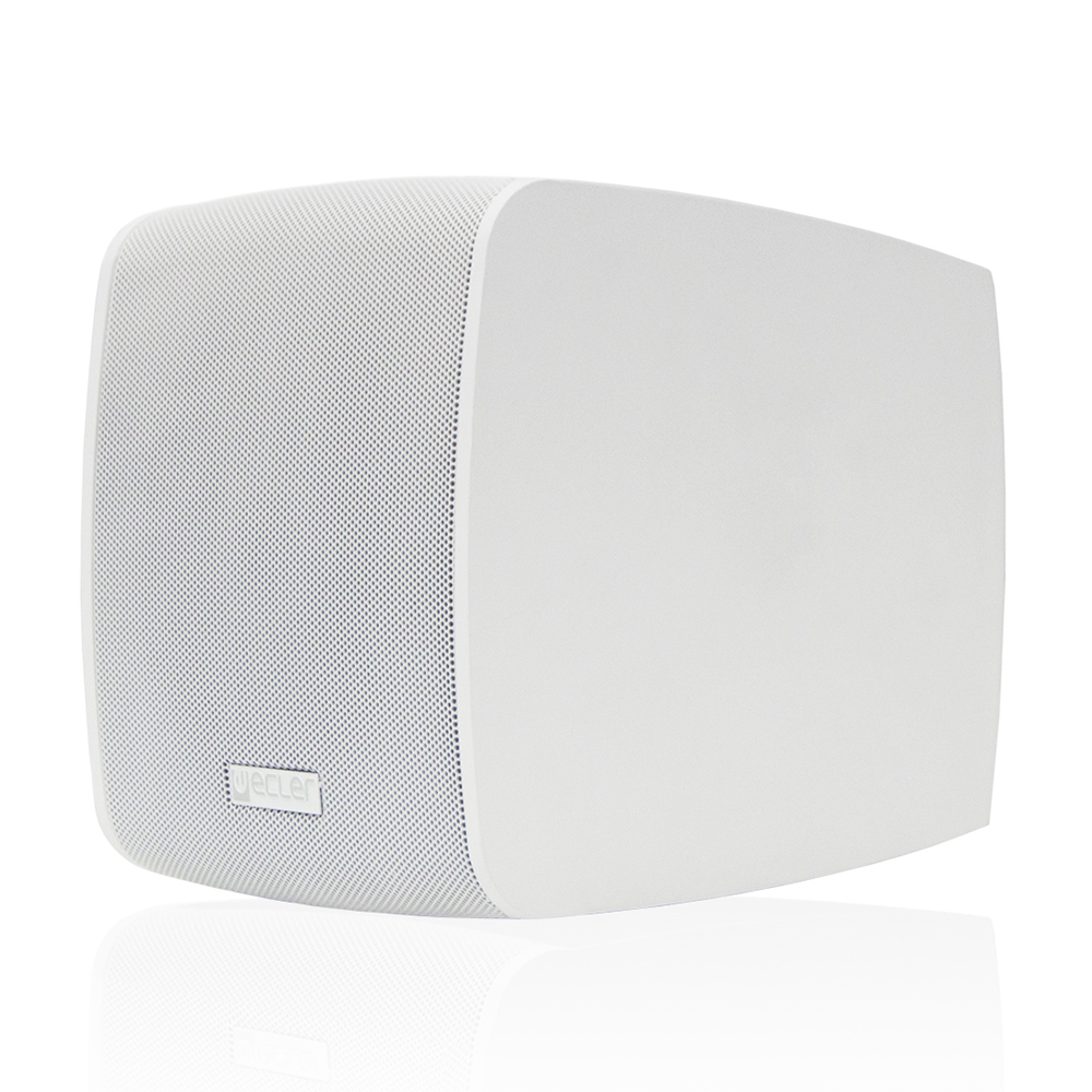 Kit enceinte stéréo 5” eMOTUS5P