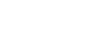 PAVS 2026
